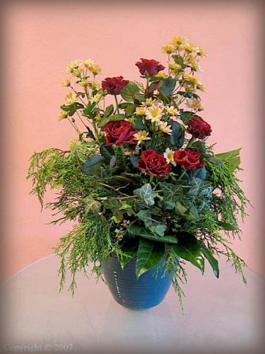 Volně vázaná smuteční kytice z červených růží a chryzantém doplněná chvojím. Cena od 450 Kč.