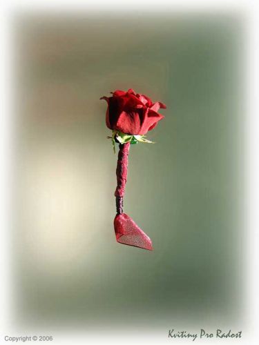 Jednoduchá klopa z květu minirůže, přizdobená červenou ztuhou.