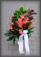 Výrazná, přes 70 cm vysoká volně vázaná kytice z gladiol, anturií, a bordových santinek.
Cena kolem 700 Kč.